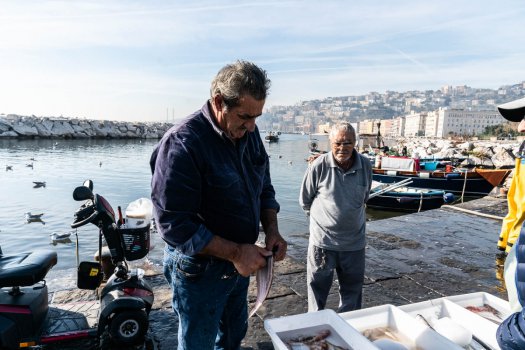 TERRAZZA CALABRITTO NAPOLI - Foto 40