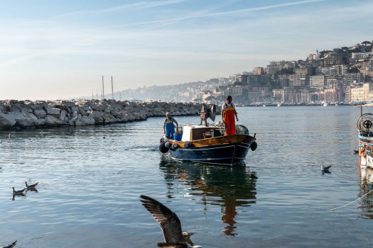 TERRAZZA CALABRITTO NAPOLI - Foto 41