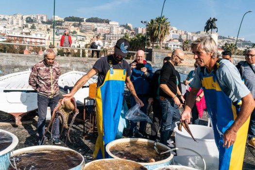 TERRAZZA CALABRITTO NAPOLI - Foto 43