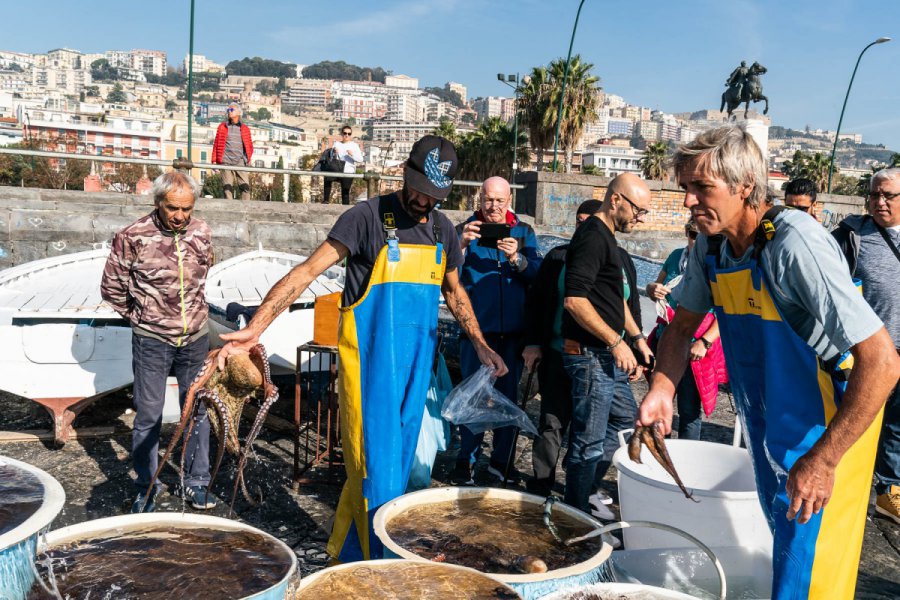 TERRAZZA CALABRITTO NAPOLI - Foto 45