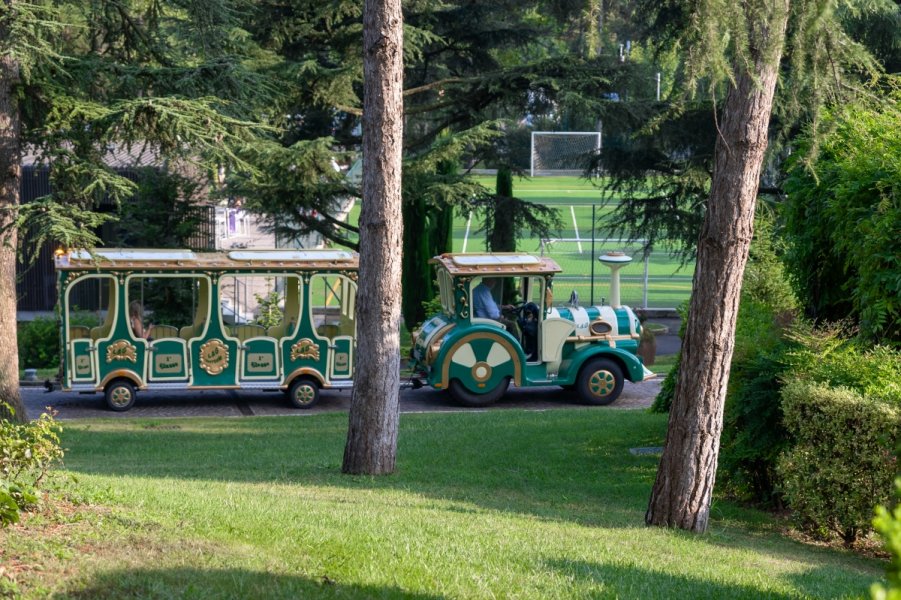 Foto Matrimonio Beatrice e Amaury - Ristorante Da Vittorio (Bergamo) (39)