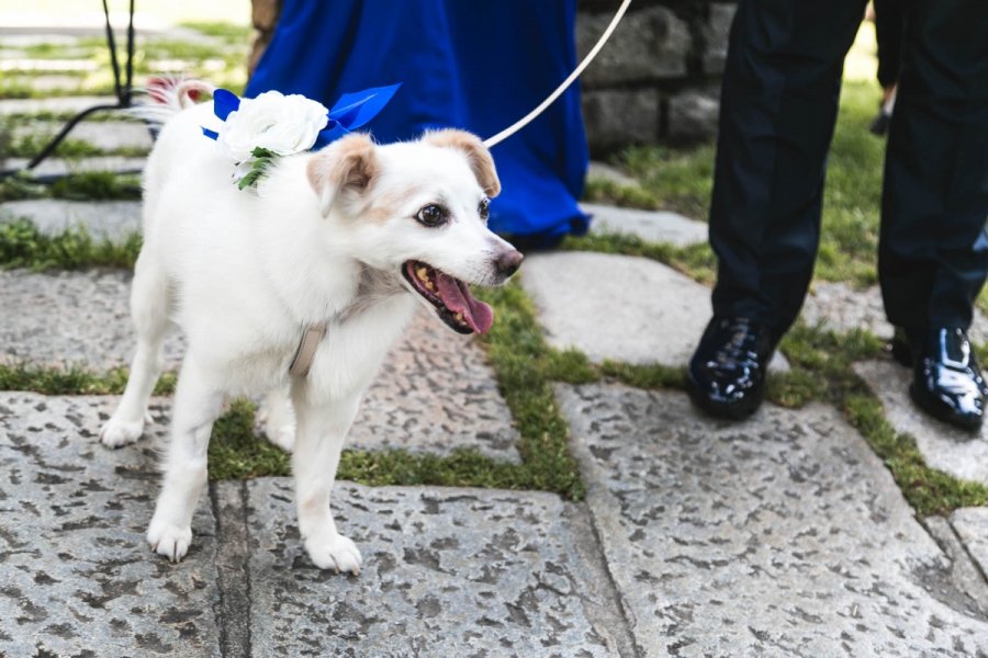 Foto Matrimonio Giusy e Luca - Castello Di Rossino (Lago di Como) (15)