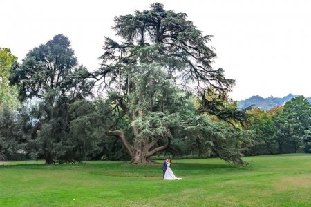 Album fotografici dei matrimoni svolti nella location Villa Olmo
